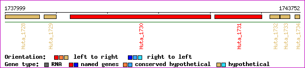 gene map