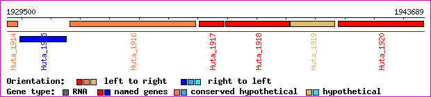 gene map