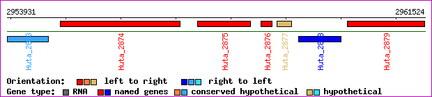 gene map