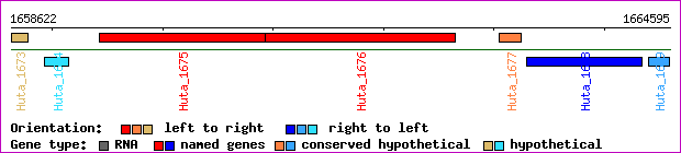 gene map