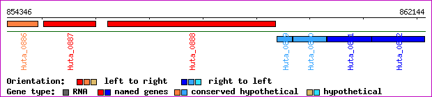 gene map
