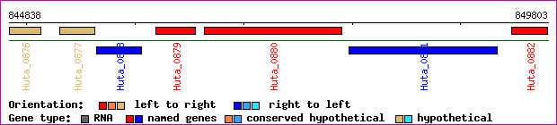 gene map