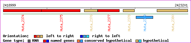 gene map