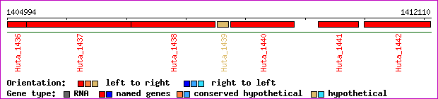 gene map
