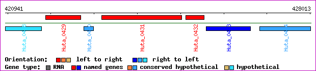 gene map