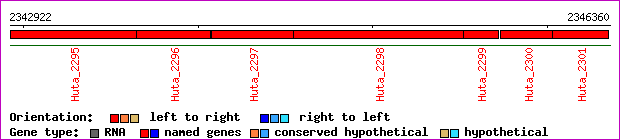 gene map