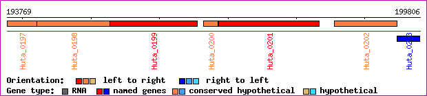 gene map