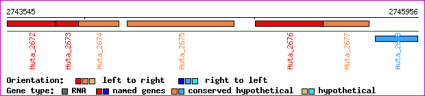 gene map