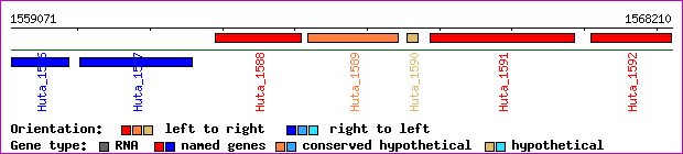 gene map