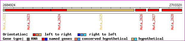 gene map