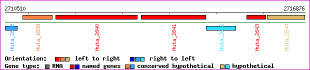 gene map