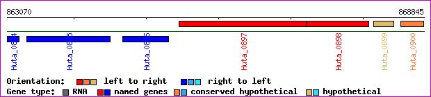 gene map