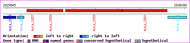 gene map