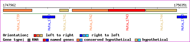 gene map