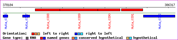 gene map