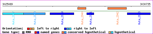 gene map