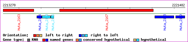gene map
