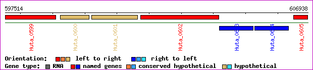 gene map