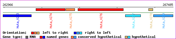 gene map