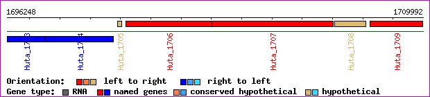 gene map