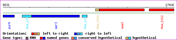gene map