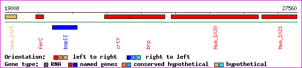 gene map