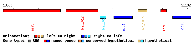 gene map