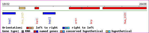 gene map