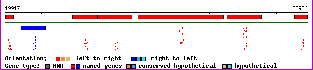 gene map