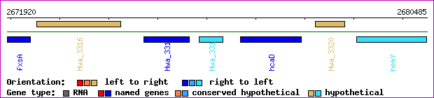 gene map