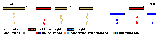 gene map