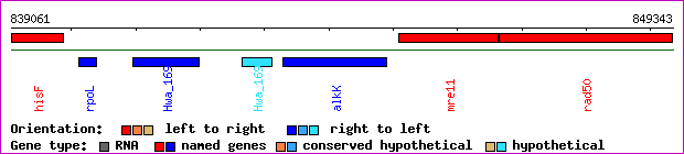 gene map