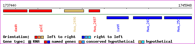 gene map