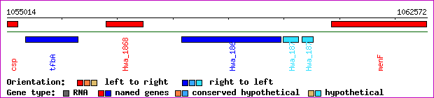 gene map