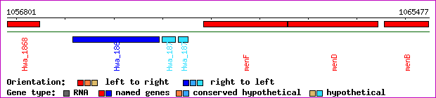 gene map