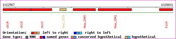 gene map