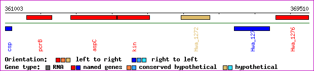 gene map