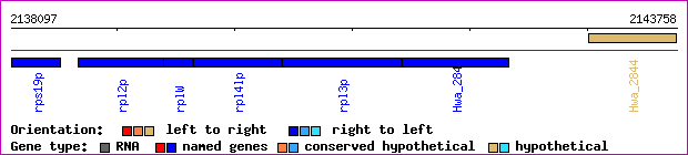 gene map
