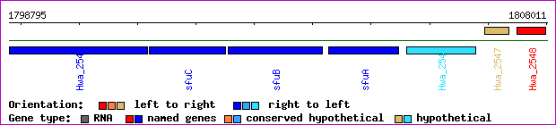 gene map