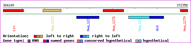 gene map