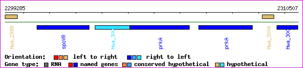 gene map