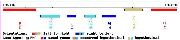 gene map