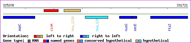 gene map