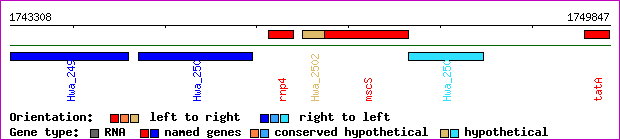 gene map