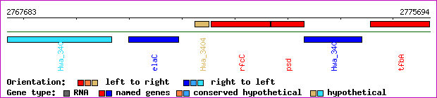 gene map