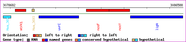 gene map