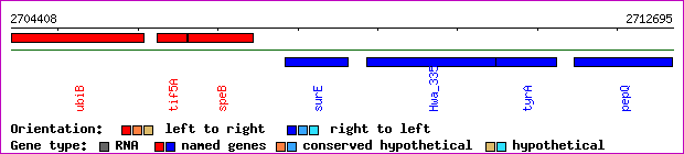 gene map