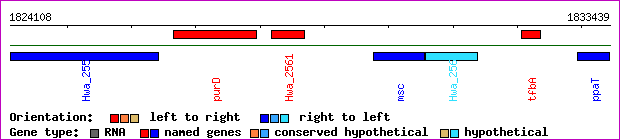 gene map