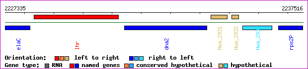 gene map