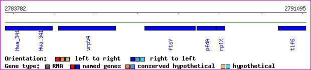 gene map